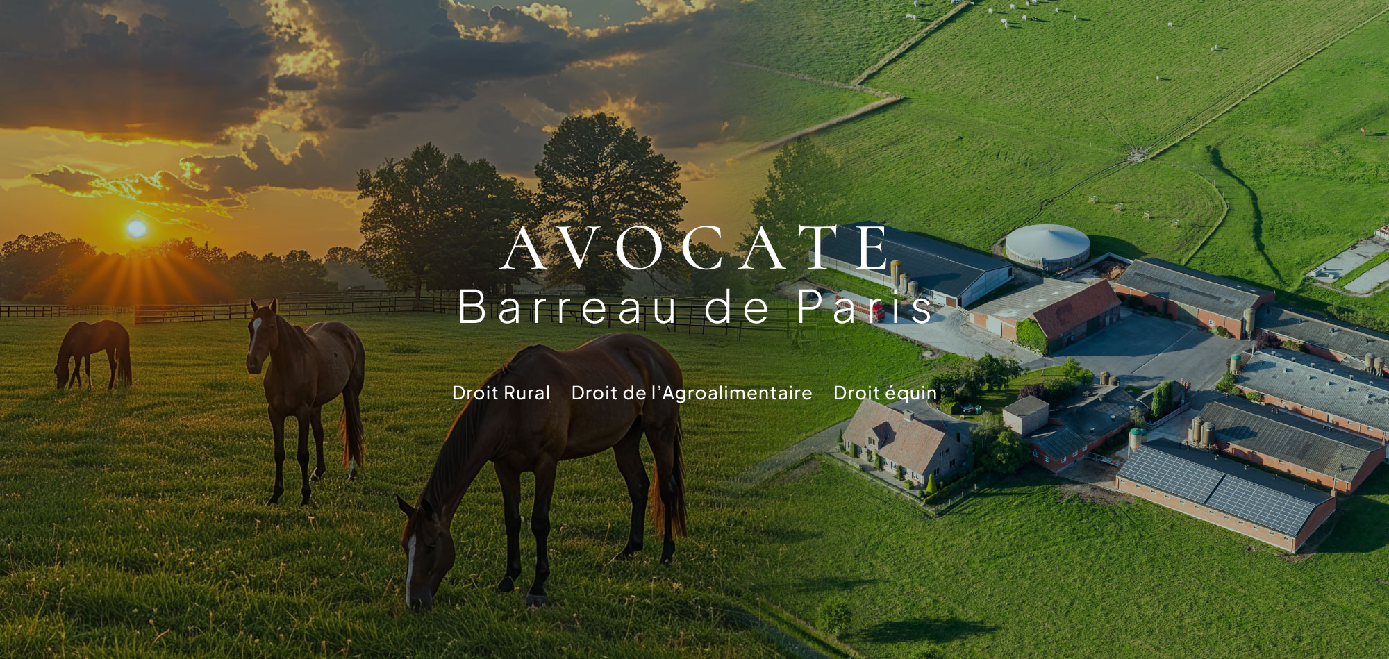 visuel_homeleguilleballoy
